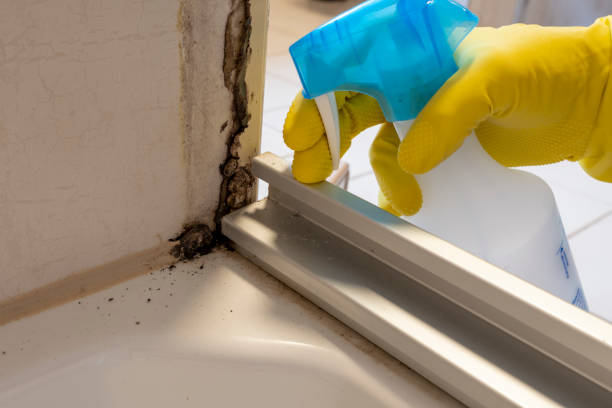 Best Professional Mold Removal  in Moorestown Lenola, NJ