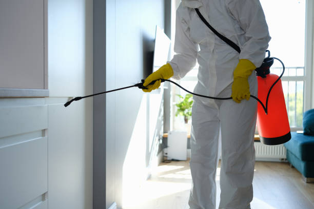 Best Emergency Mold Removal  in Moorestown Lenola, NJ