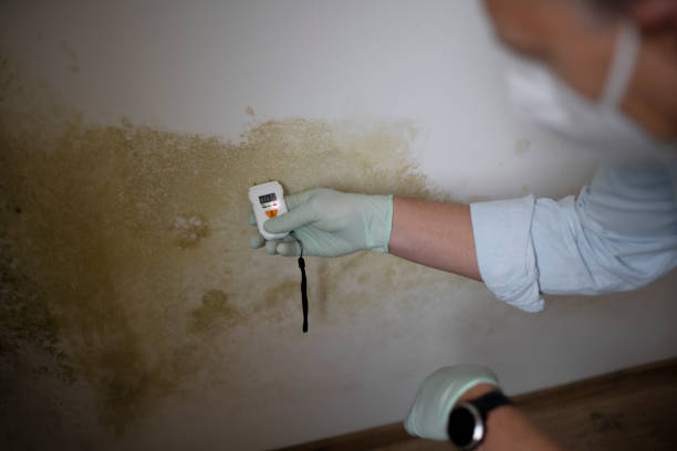 Moorestown Lenola, NJ Mold Removal Company