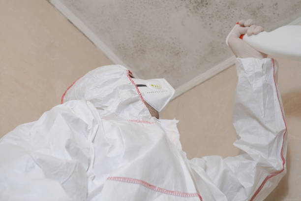 Best Crawl Space Mold Removal  in Moorestown Lenola, NJ