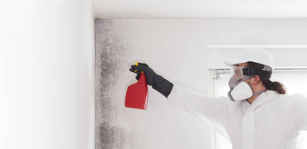 Best Toxic Mold Removal  in Moorestown Lenola, NJ