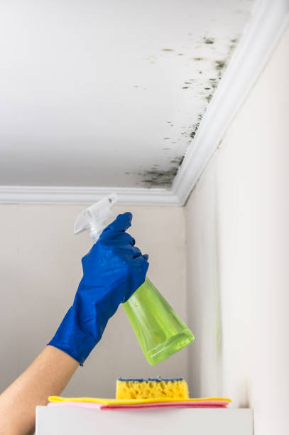 Best Mold Cleaning Services  in Moorestown Lenola, NJ